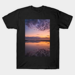 Nature's Mirror T-Shirt